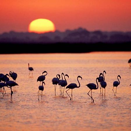 Precioso Apartamento Frente Al Mar サンタ・ポラ エクステリア 写真